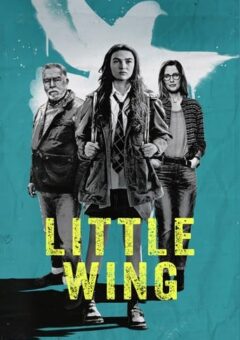 Little Wing (2024)